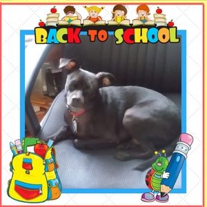 Meet your Posher, Ann marie